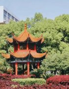岳阳单招补习学校招生办电线单招培训机