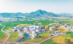 <b>“四个下层实践”里的省委一号文件</b>