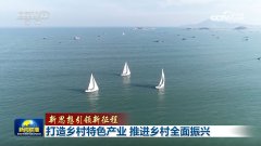 【新思惟引领新征程】打制村落特色财产